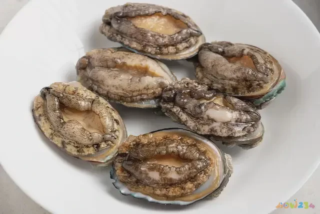 家常鲍鱼做法粉丝_鲍鱼的家常做法_家常鲍鱼做法大全家常