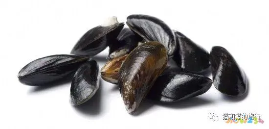 梭鲈鱼怎么做好吃_家常梭鲈鱼的做法_梭鲈怎么烧