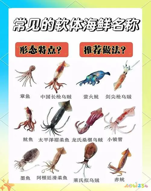 梭鲈怎么烧_家常梭鲈鱼的做法_梭鲈鱼怎么做好吃