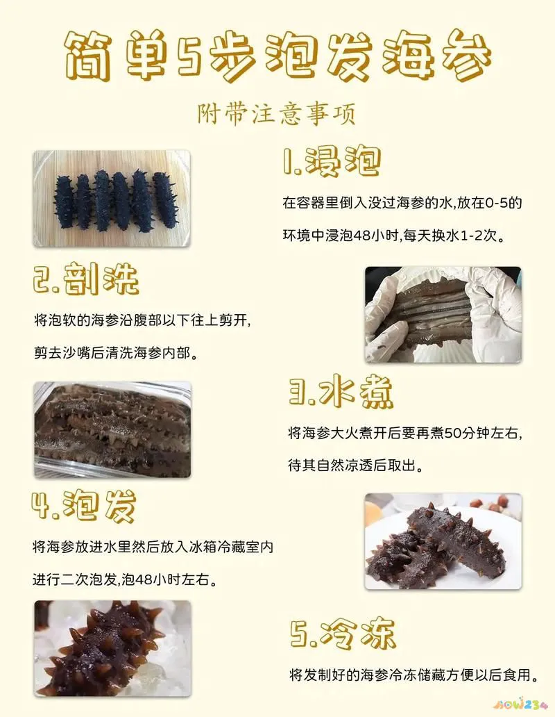 10种简单海参家常做法_海参的家常做法_葱烧海参家常做法