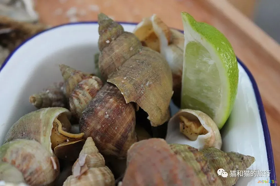 梭鲈鱼怎么做好吃_梭鲈怎么烧_家常梭鲈鱼的做法