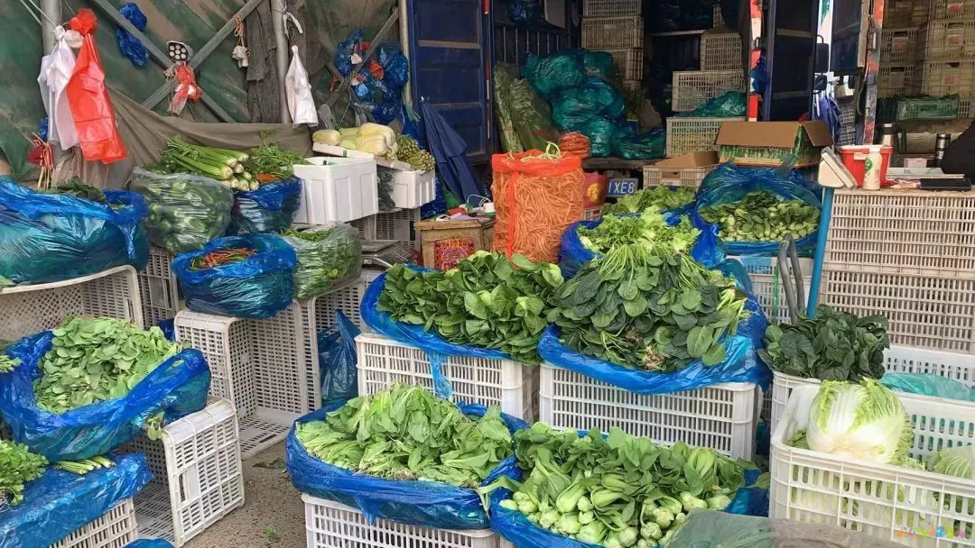 家常菜菜单及单价_家常菜表价格图片大全_家常菜价格表