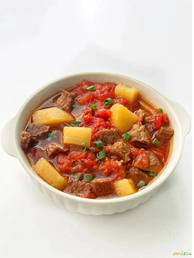 萝卜炖牛肉教程_萝卜炖牛肉的做法大全_胡萝卜炖牛肉的家常做法