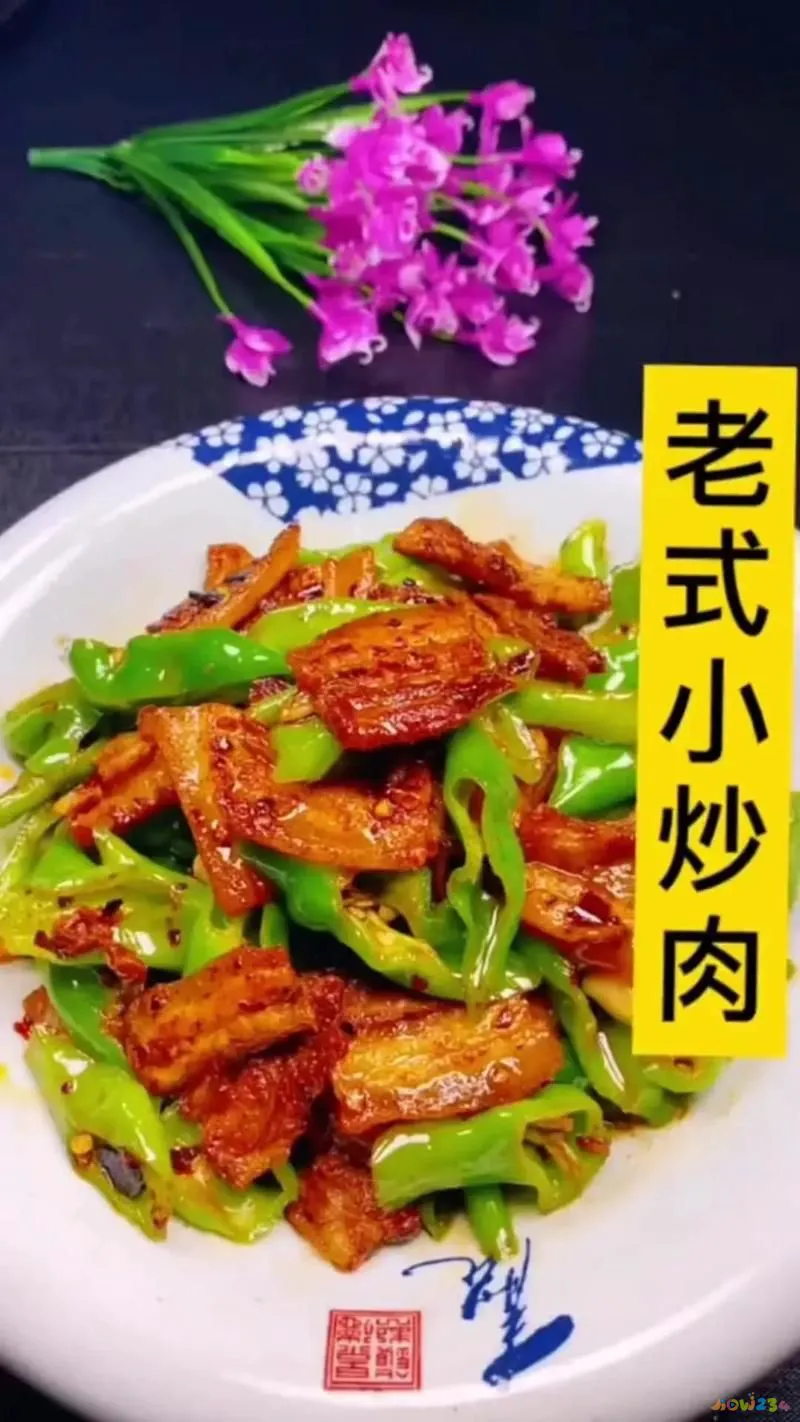 家常小炒肉_家常小炒肉做法_百吃不厌的家常肉小炒