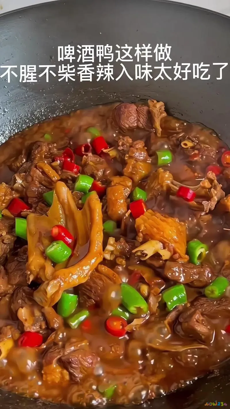 啤酒鸭啤酒起什么作用_啤酒鸭配方_啤酒鸭的做法大全家常