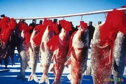 明太鱼炖豆腐汤_明太鱼炖豆腐家常做法_豆腐炖明太鱼的家常做法