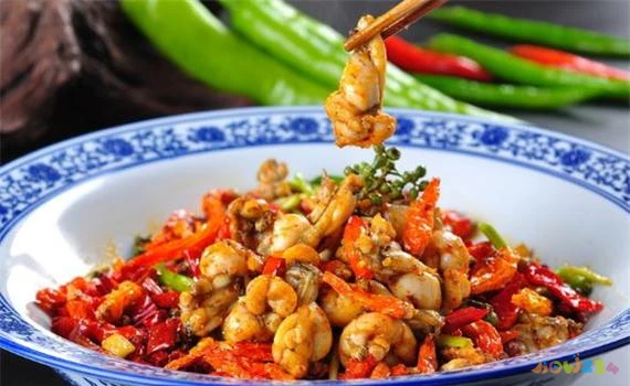 四川小菜的做法大全集_小四川家常菜_做四川家常菜的小向