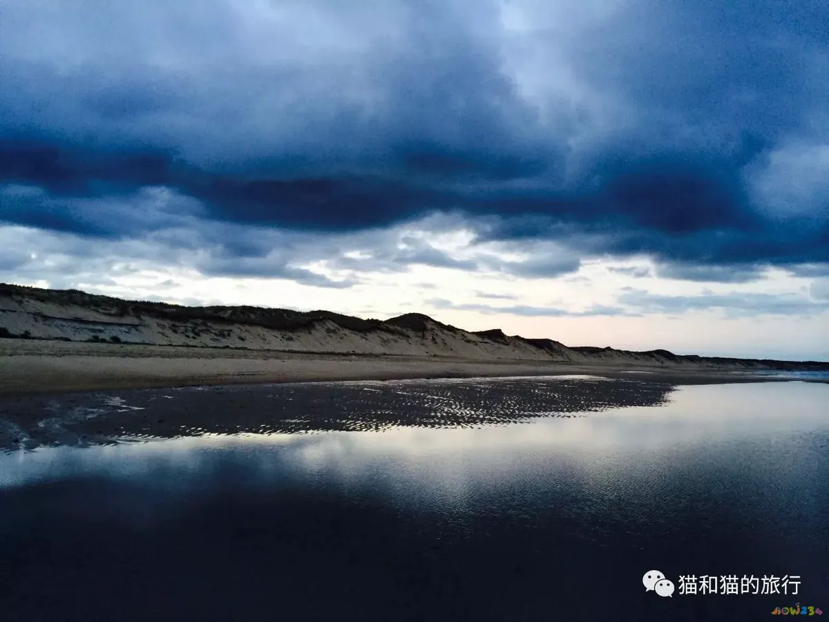 家常梭鲈鱼的做法_梭鲈鱼怎么做好吃_梭鲈怎么烧