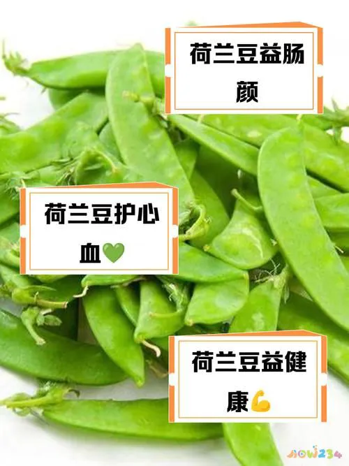 豌豆的做法大全家常_豌豆的做法视频教程_家常豌豆大全做法视频