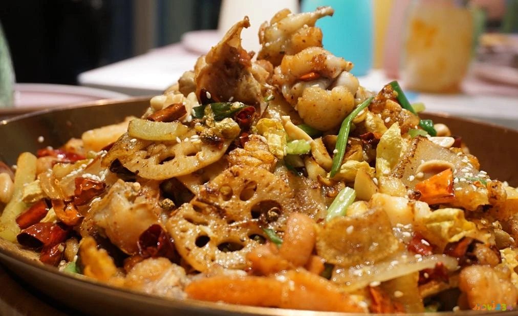 四川小菜的做法大全集_小四川家常菜_做四川家常菜的小向