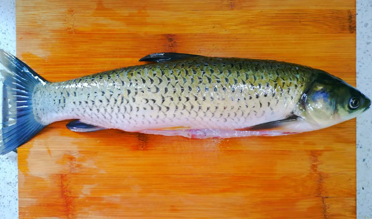 红烧鱼的家常做法简单_家常红烧鱼的做法大全_家常红烧做法鱼简单视频