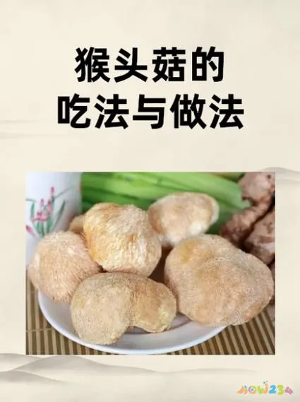 猴头菇怎么做菜_猴头菇家常菜_猴头菇的家常做法
