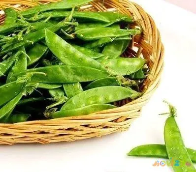 豌豆的做法大全家常_家常豌豆大全做法视频_豌豆的做法视频教程