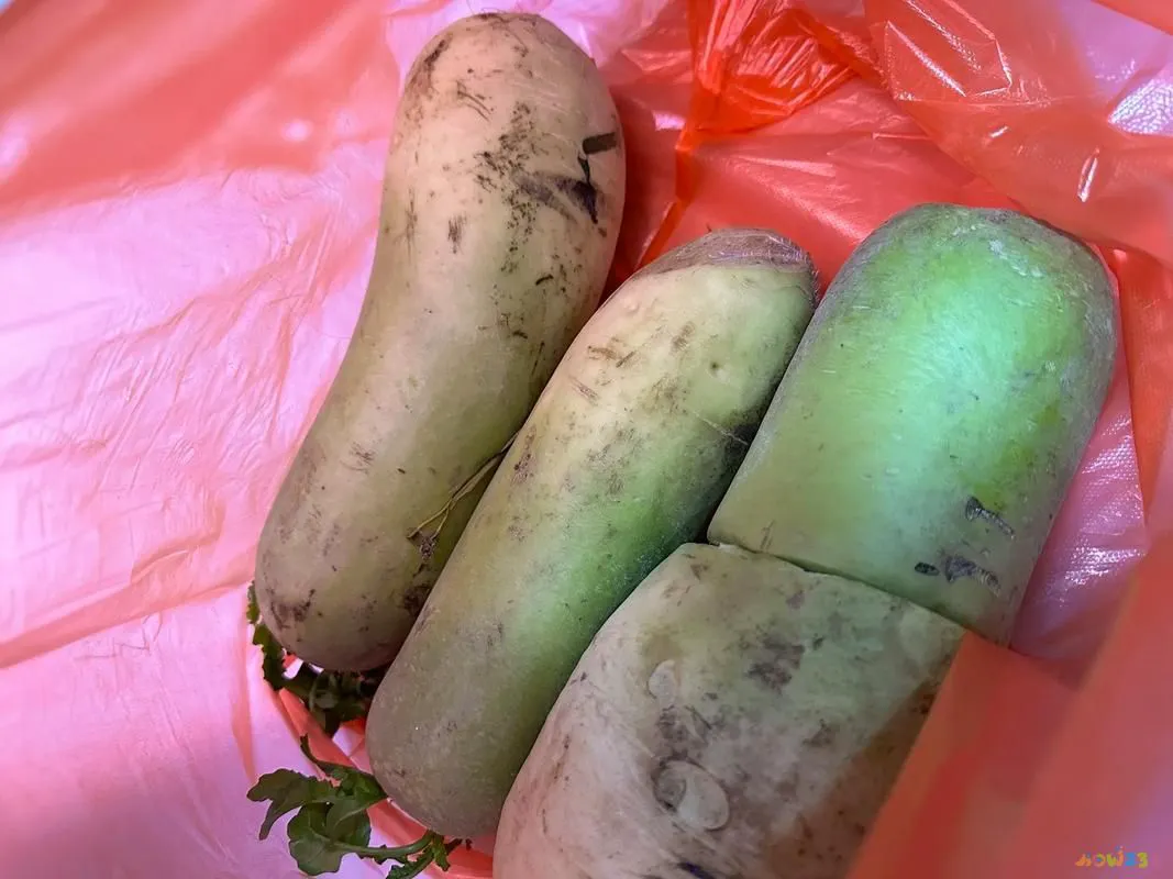 家常腌制萝卜干的方法_萝卜怎么腌制成萝卜干_家常萝卜干腌制方法