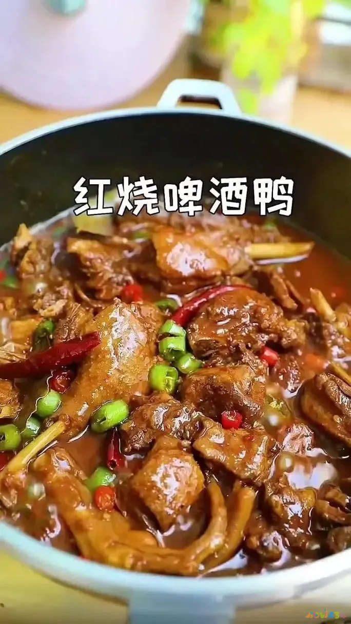 啤酒鸭啤酒起什么作用_啤酒鸭的做法大全家常_啤酒鸭配方