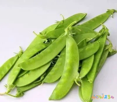 豌豆的做法视频教程_家常豌豆大全做法视频_豌豆的做法大全家常