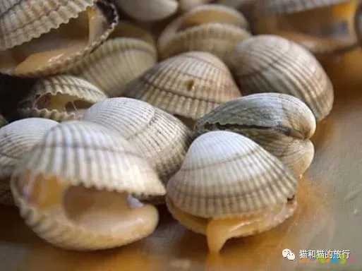 梭鲈怎么烧_梭鲈鱼怎么做好吃_家常梭鲈鱼的做法