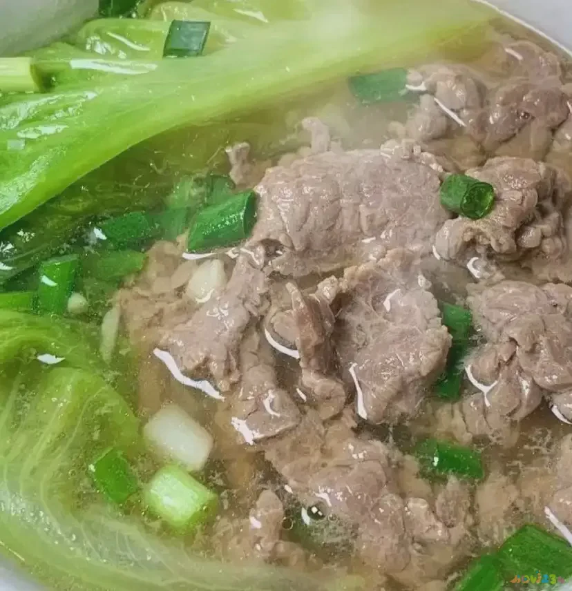 家常牛肉汤做法大全_牛肉汤的家常做法_家常牛肉汤的做法及简单窍门