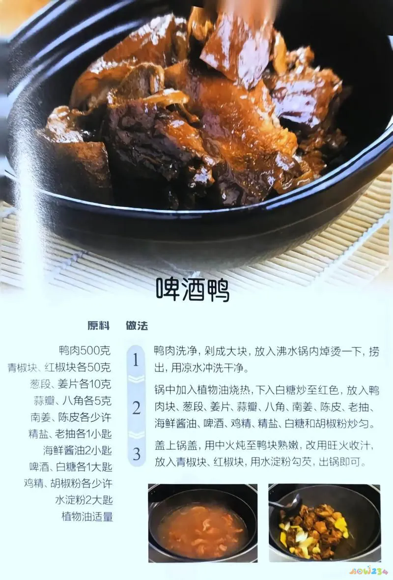 啤酒鸭啤酒起什么作用_啤酒鸭的做法大全家常_啤酒鸭配方