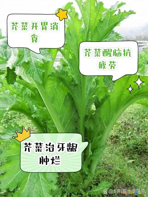 渝乡村老火锅_渝乡村家常菜_渝乡村小厨