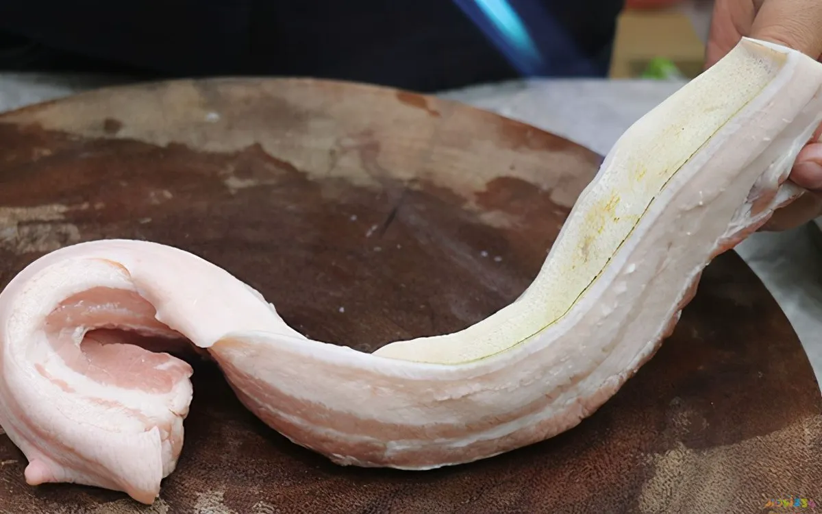 红烧肉家常做法图解_图解家常红烧肉做法视频_图解家常红烧肉做法大全