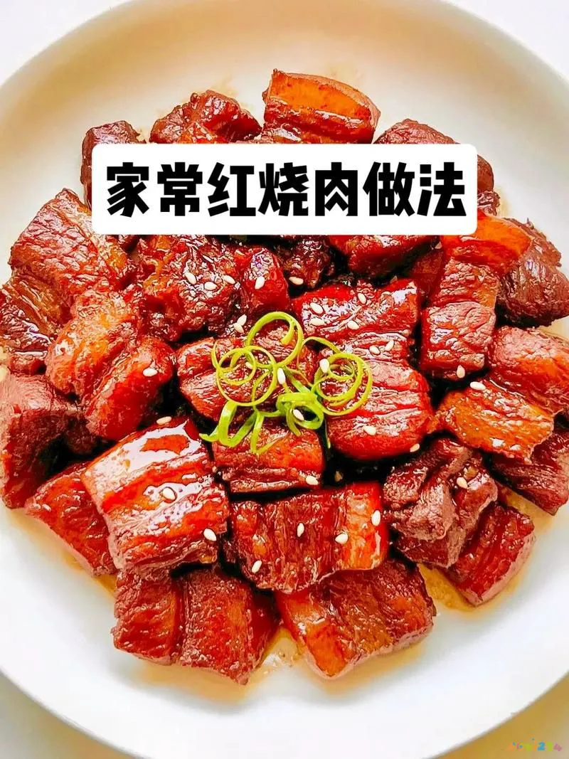 红烧肉家常做法图解_图解家常红烧肉做法大全_图解家常红烧肉做法视频