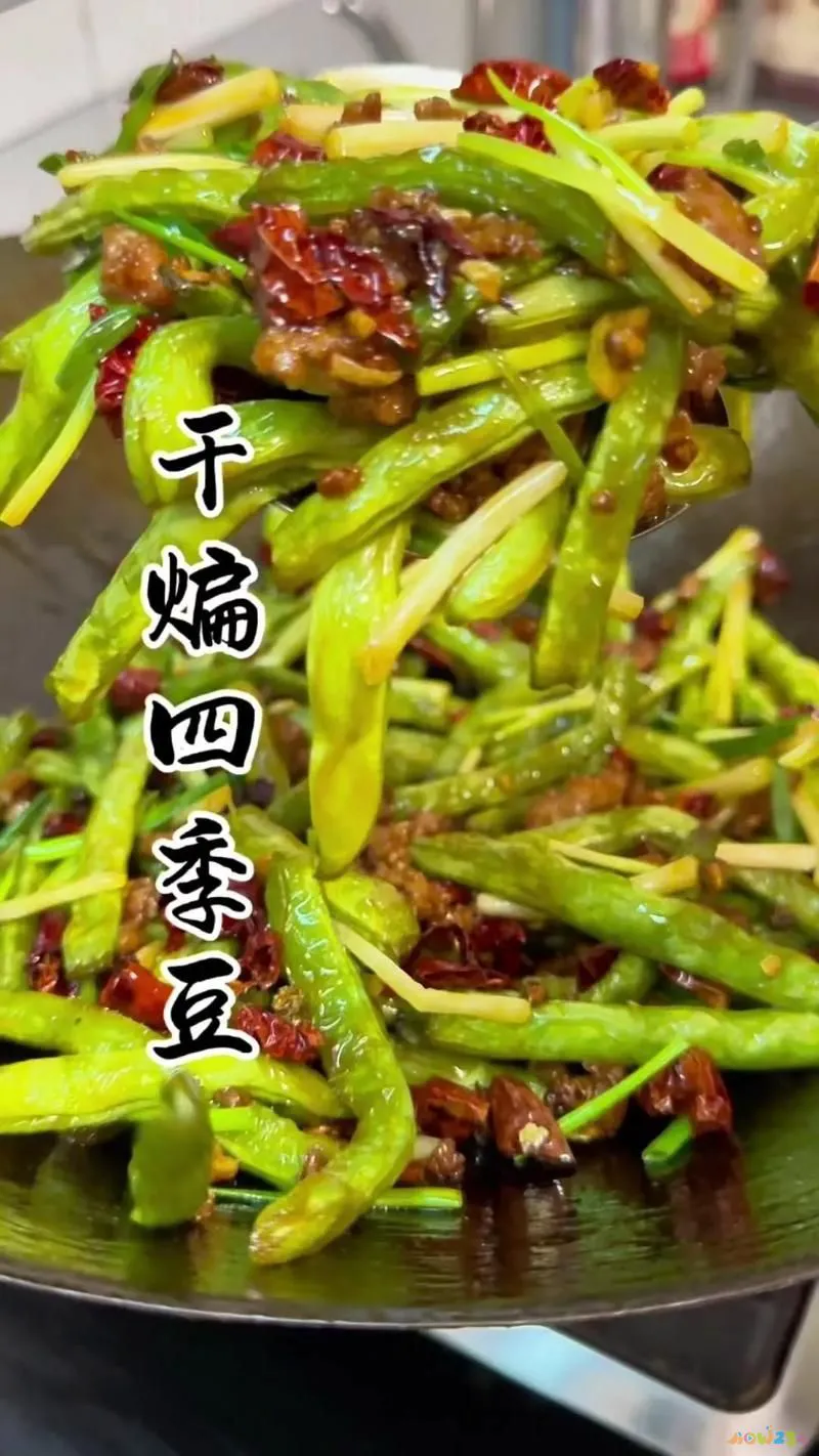 四川家常小菜有哪些_小四川家常菜_做四川家常菜的小向