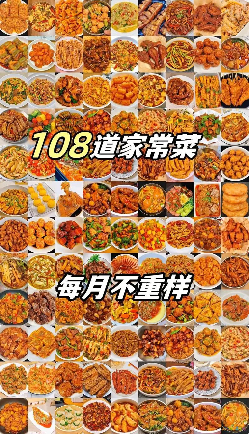 家常菜做法视频下载_视频家常菜做法下载安装_做一些家常菜视频