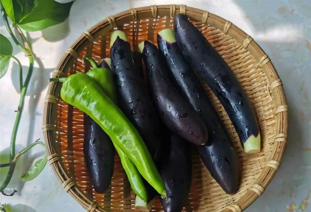 蒜烧茄子怎么做好吃_蒜茄子咋做好吃_蒜烧茄子的家常做法