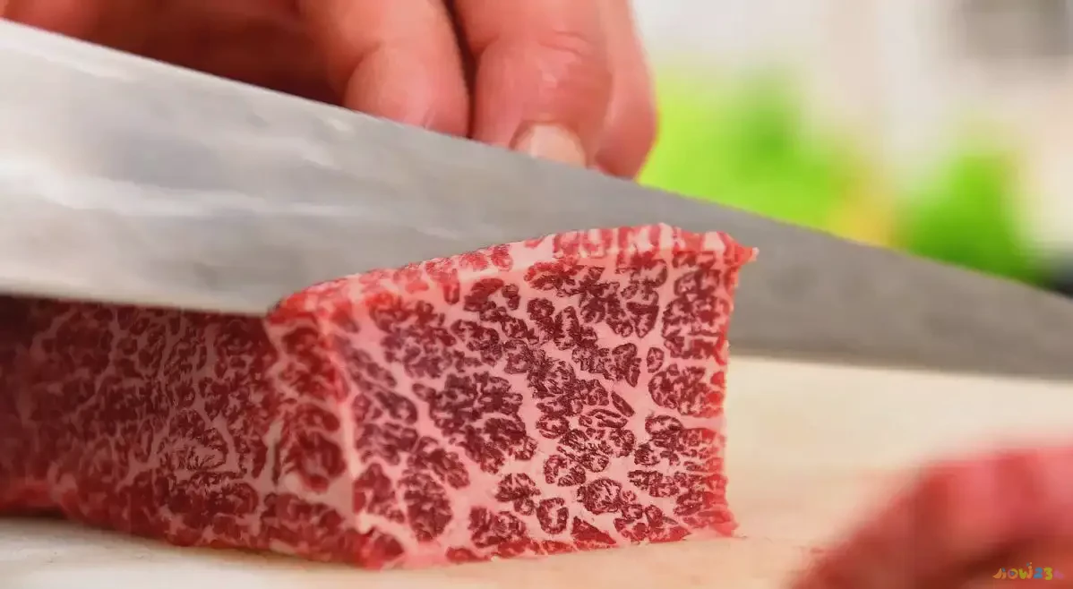 家常牛肉汤做法大全_牛肉汤的家常做法_家常牛肉汤的做法及简单窍门