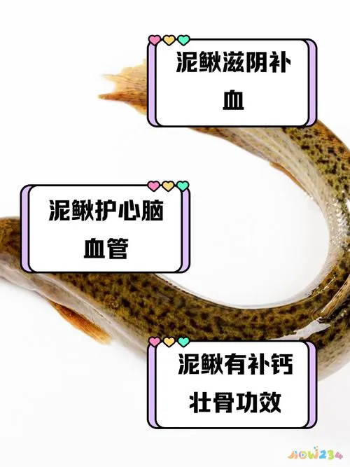 家常泥鳅怎么做好吃_泥鳅的做法大全家常_家常泥鳅大全做法图片