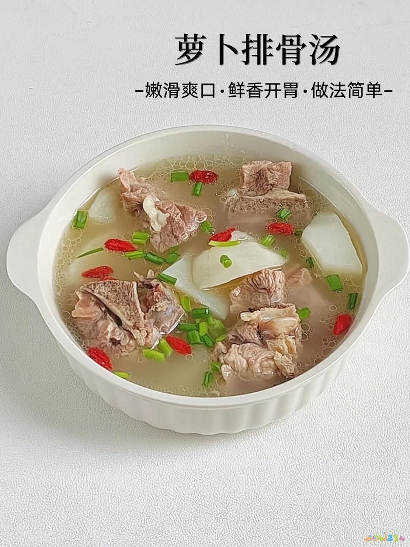 炖排骨汤的家常做法_炖排骨家常汤做法窍门_炖排骨汤的做法大全集窍门