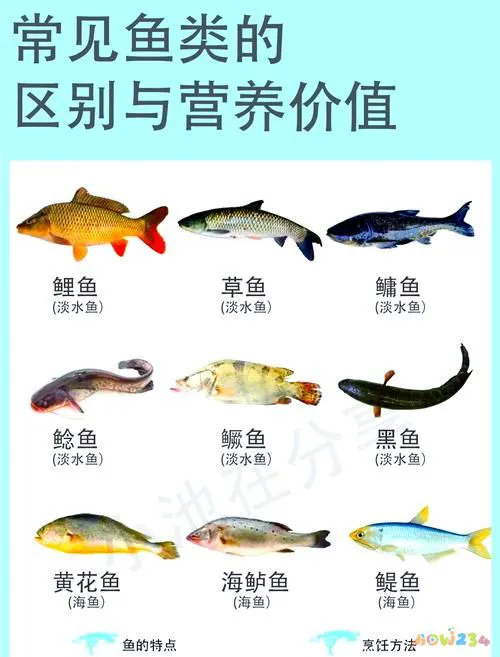 梭鲈鱼怎么做好吃_家常梭鲈鱼的做法_梭鲈怎么烧