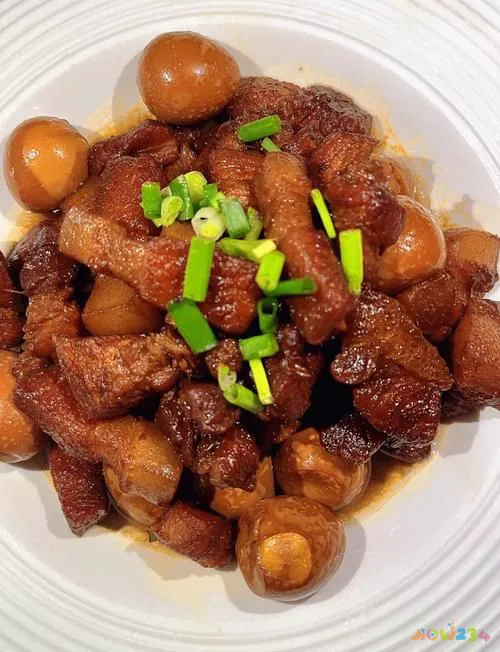 图解家常红烧肉做法视频_图解家常红烧肉做法大全_红烧肉家常做法图解