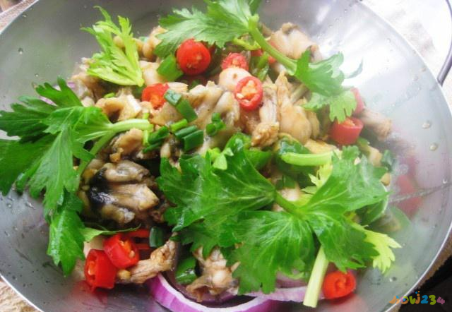 做四川家常菜的小向_四川小菜的做法大全集_小四川家常菜