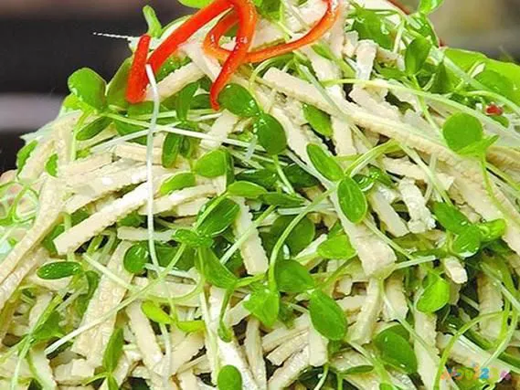 家常做法素菜怎么做_家常素菜做法_家常的素菜做法