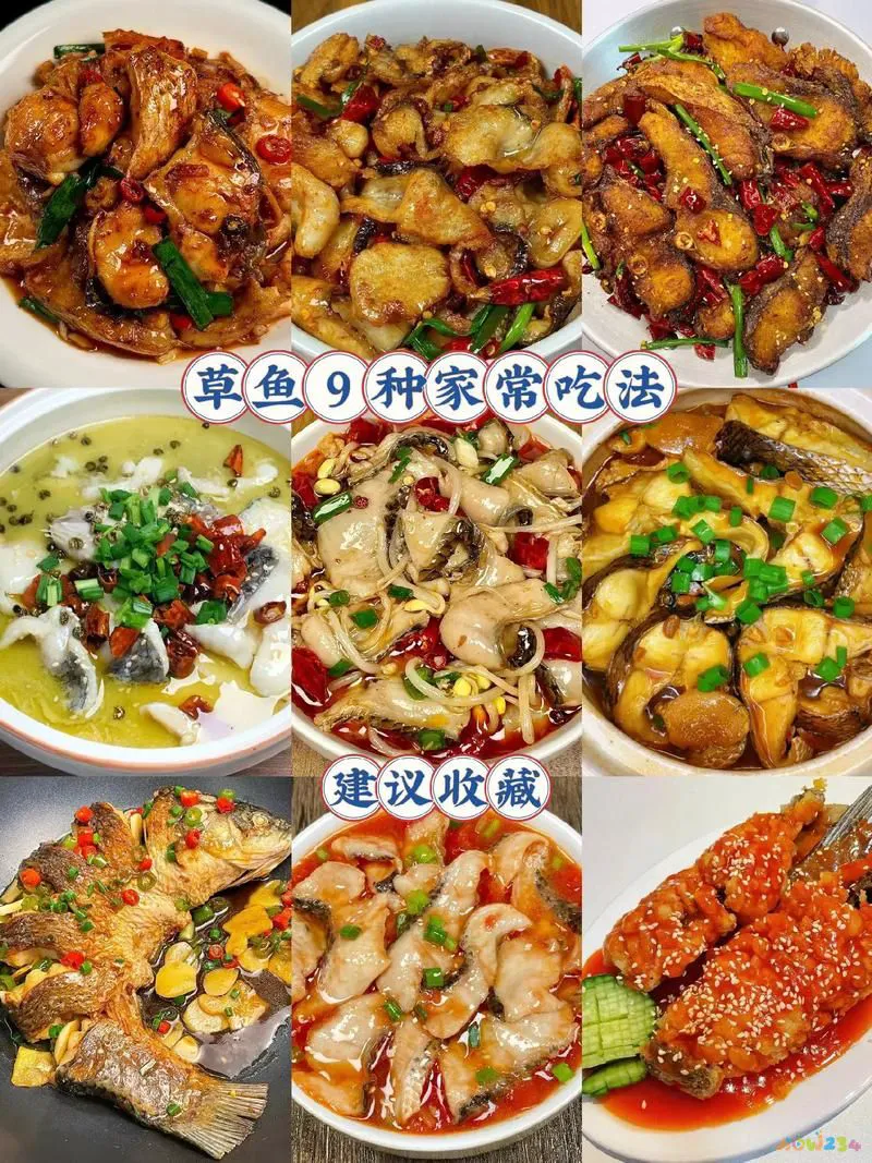 湖南熏鱼的家常做法_湖南熏鱼怎么做好吃又简单_湖南熏鱼的腌制方法