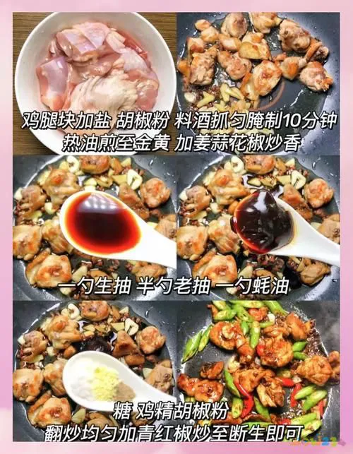 小四川家常菜_做四川家常菜的小向_四川小菜的做法大全集