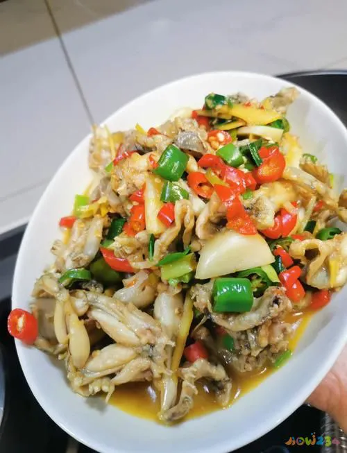 小四川家常菜_四川小菜的做法大全集_做四川家常菜的小向