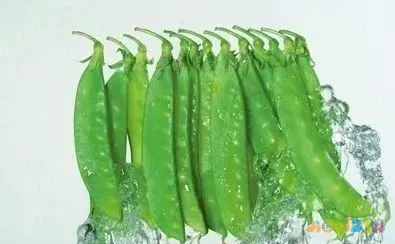 豌豆的做法视频教程_家常豌豆大全做法视频_豌豆的做法大全家常