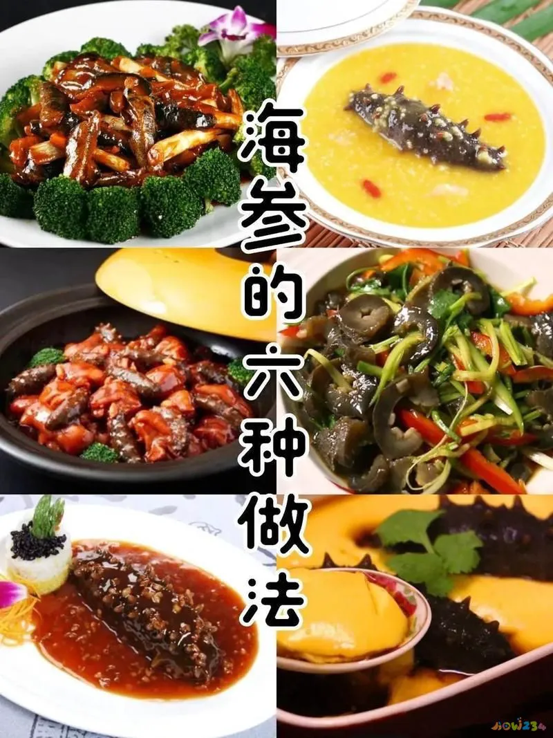 海参的家常做法_10种简单海参家常做法_葱烧海参家常做法