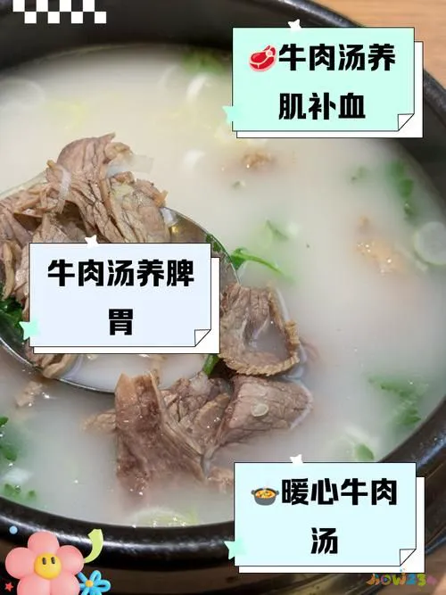 家常牛肉汤的做法及简单窍门_家常牛肉汤做法大全_牛肉汤的家常做法