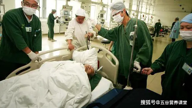 4种野菜堪称“致癌大王”,尤其第二种,宁愿不吃也别碰,莫贪嘴 -第1张图片-就爱百科 4种野菜堪称“致癌大王”,尤其第二种,宁愿不吃也别碰,莫贪嘴 -第1张图片-就爱百科
