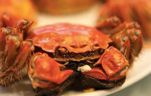 今日秋分 | 各地传统美食与养生食谱,快来解锁-第6张图片-就爱百科 今日秋分 | 各地传统美食与养生食谱,快来解锁-第6张图片-就爱百科