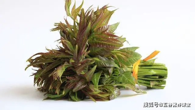 4种野菜堪称“致癌大王”,尤其第二种,宁愿不吃也别碰,莫贪嘴 -第3张图片-就爱百科 4种野菜堪称“致癌大王”,尤其第二种,宁愿不吃也别碰,莫贪嘴 -第3张图片-就爱百科
